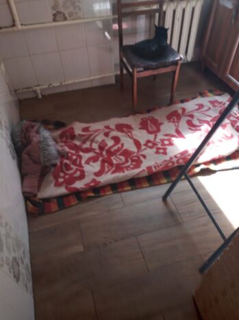 фото проститутки Берта из раздела Трансы № 6