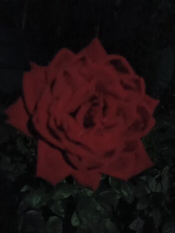 фото проститутки Пятый элемент из раздела Мужчина № 1